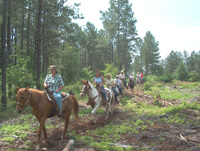 What a horse back ride