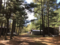 Modern cabins