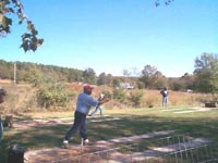 We have 6 official horseshoe courts