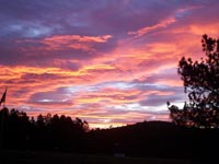 Sunrise Over Talking Trees